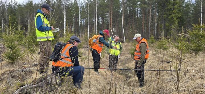 Metsäntutkimusta Vermassalossa. Viisi huomioliivillistä henkilöä tutkimassa turvemaata.