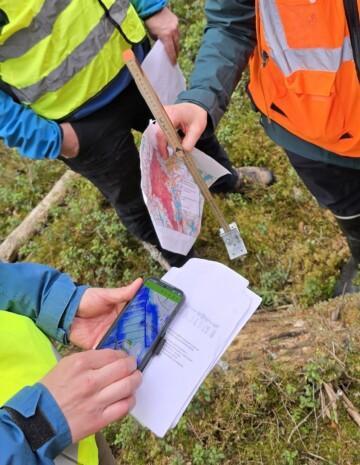 Metsäntutkijat katsovat maastossa tietoa puhelimelta.