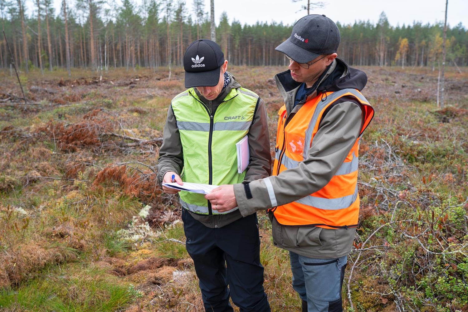 Kaksi henkilöä huomioliivit päällä tutkimassa ennallistamissuunnitelmaa suolla.
