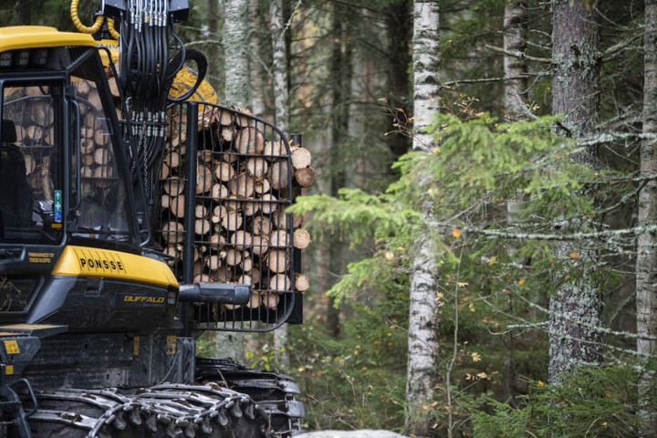 Metsäkone korjaamassa puita suomalaisessa metsässä.